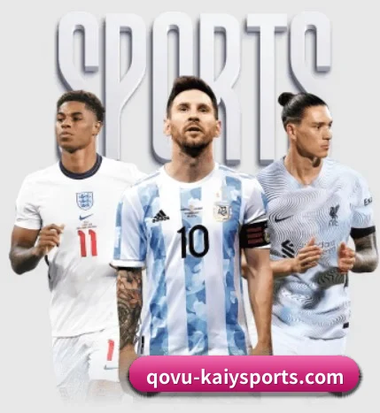 五大服务分区,信息按项目分类 - Kaiyun